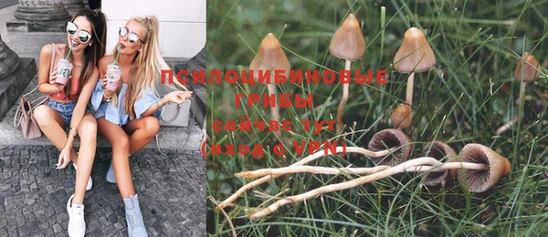 спайс Баксан