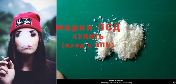 спайс Баксан