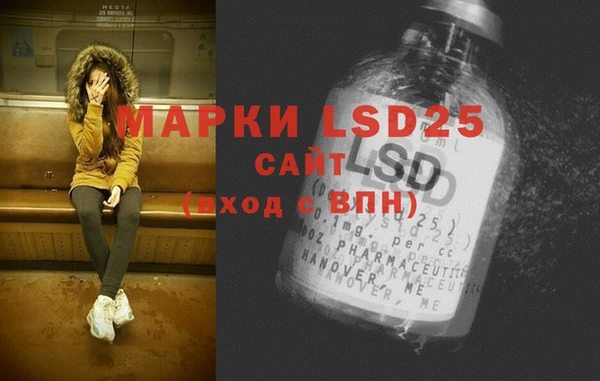 спайс Баксан