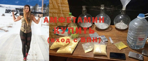 ПСИЛОЦИБИНОВЫЕ ГРИБЫ Болотное